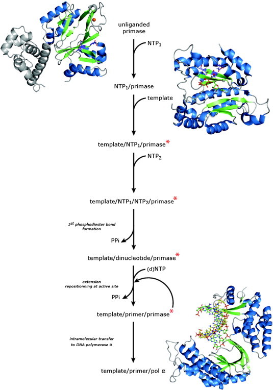 Fig. 4