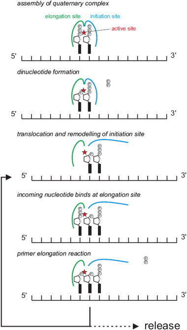 Fig. 3