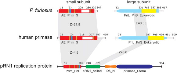 Fig. 1