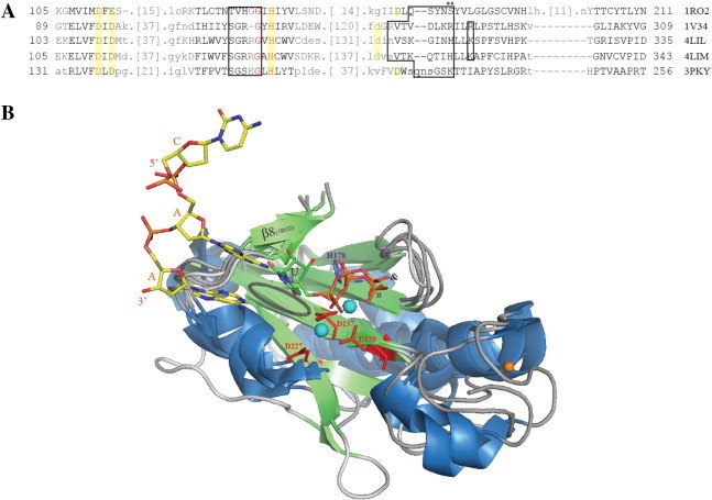 Fig. 8