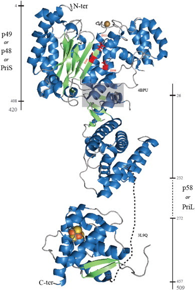 Fig. 2