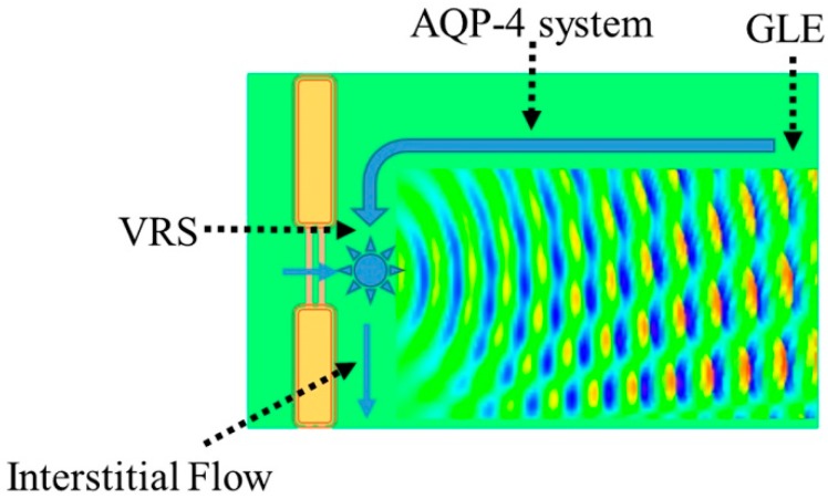 Figure 8