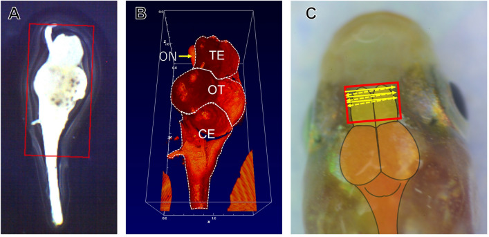 Figure 7