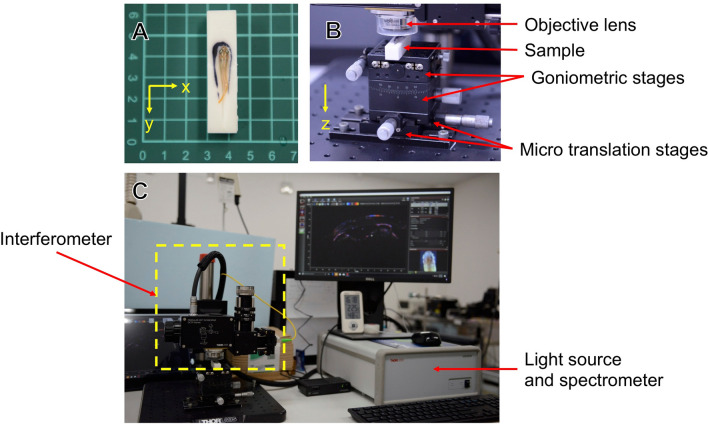 Figure 6