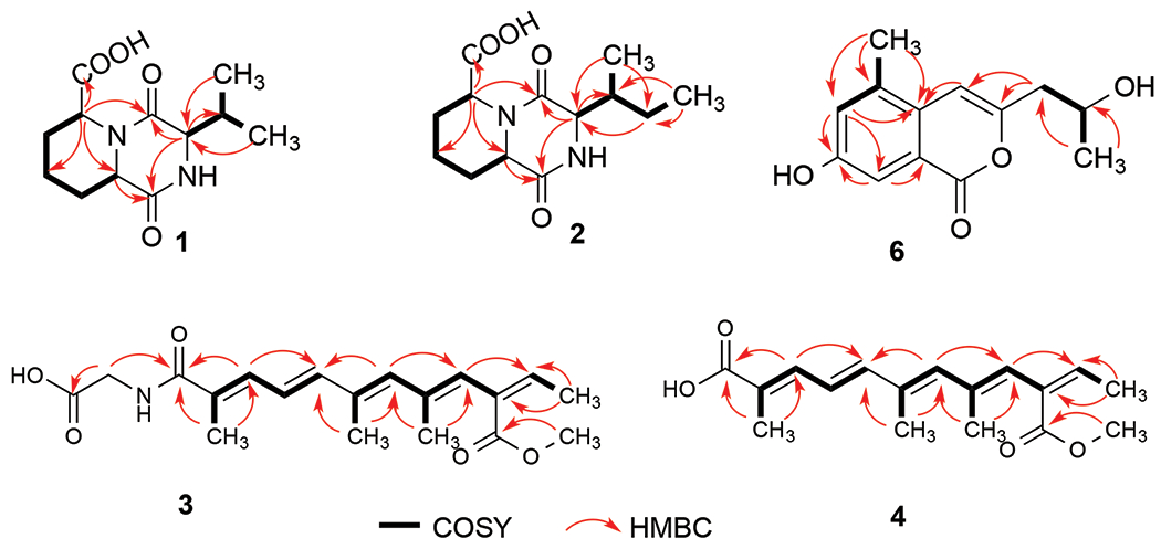 Fig. 2.