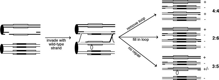 Figure 1.—