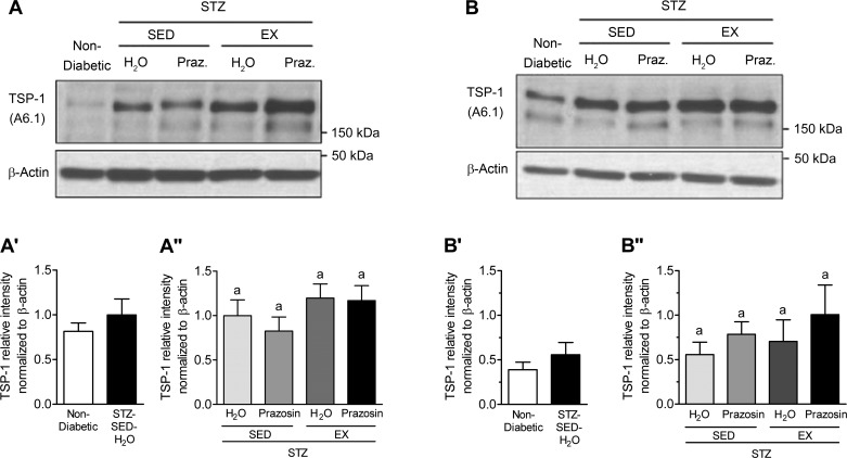 Fig. 9.