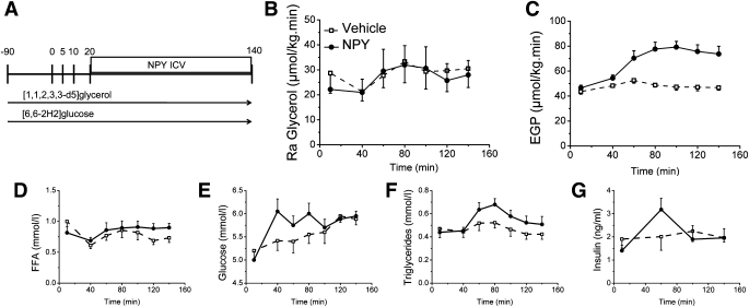 FIG. 4.