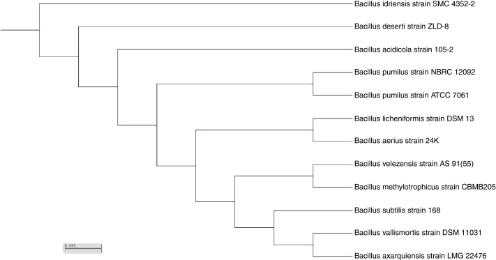 Fig. 7