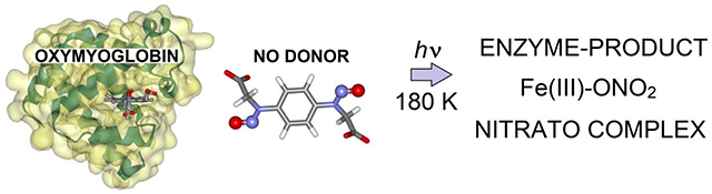 graphic file with name nihms-2004052-f0001.jpg