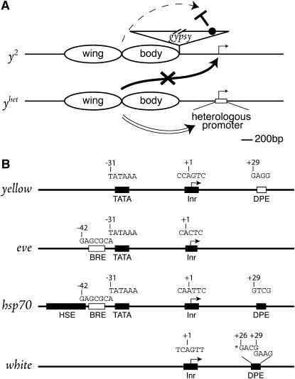 Figure 2.—