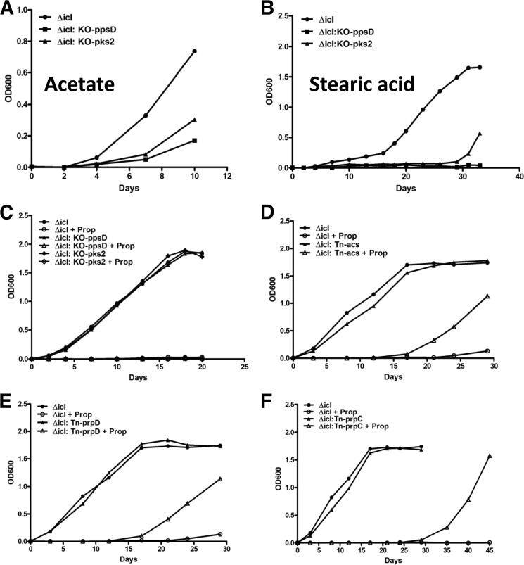 FIGURE 7.