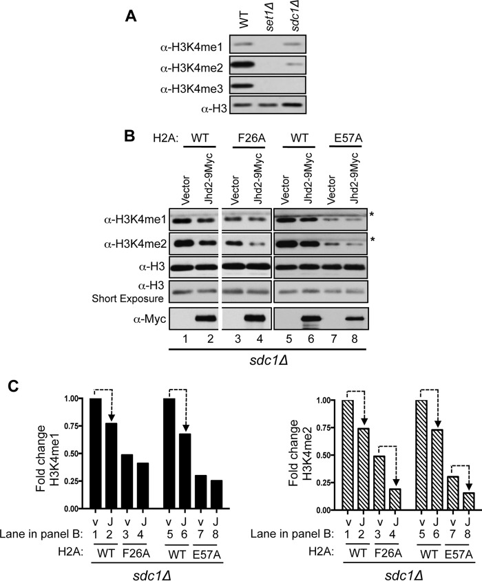 FIGURE 4.