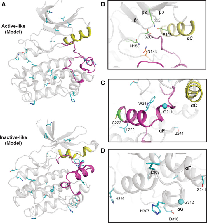 Fig. 9