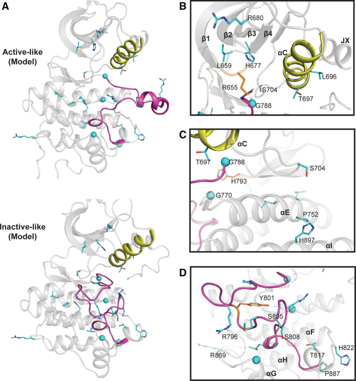 Fig. 2