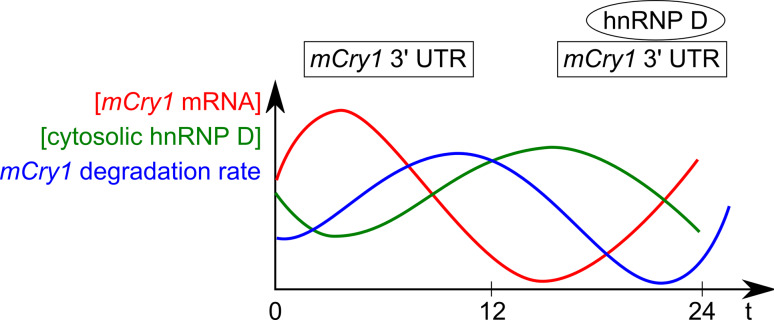 Fig. 3