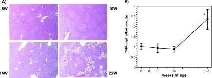 Fig. 6