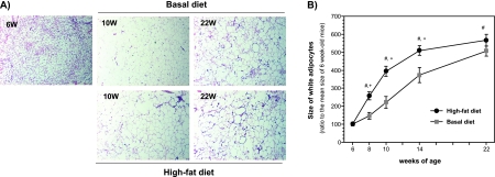 Fig. 2