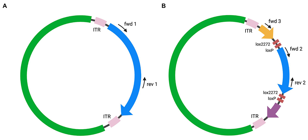 Figure 3: