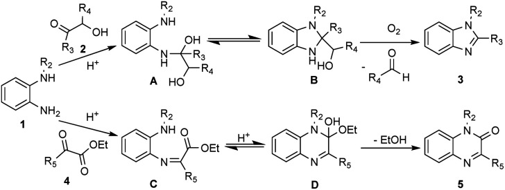 Scheme 2