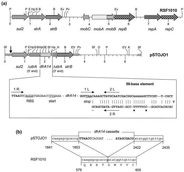 FIG. 1.