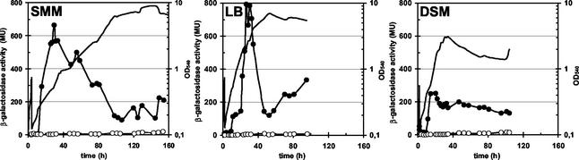 FIG. 5.