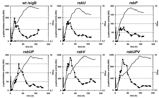 FIG. 9.