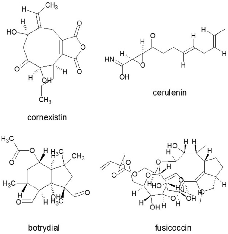 Figure 5