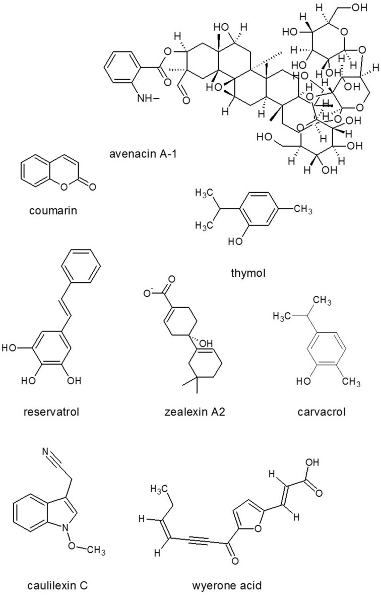 Figure 7