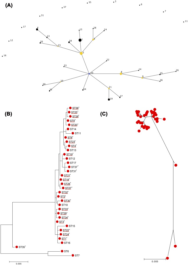 Fig 1