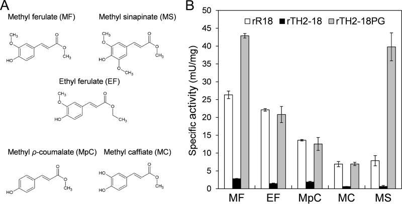 FIG 3