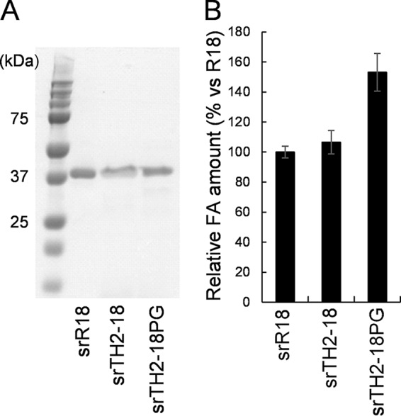 FIG 6