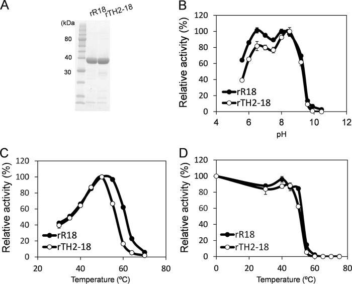 FIG 2