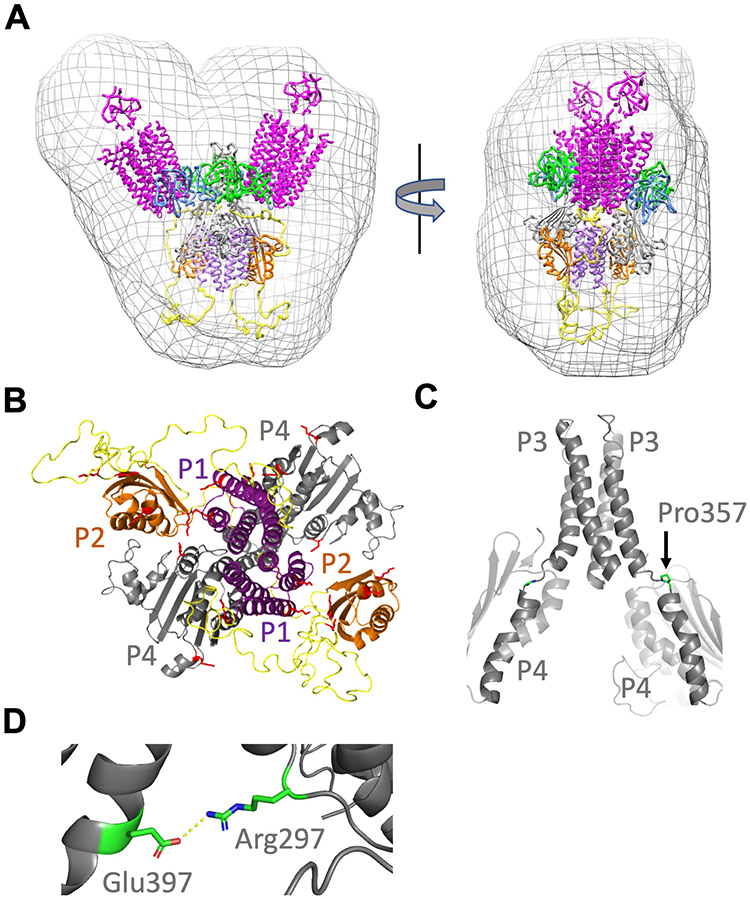 Fig. 8.