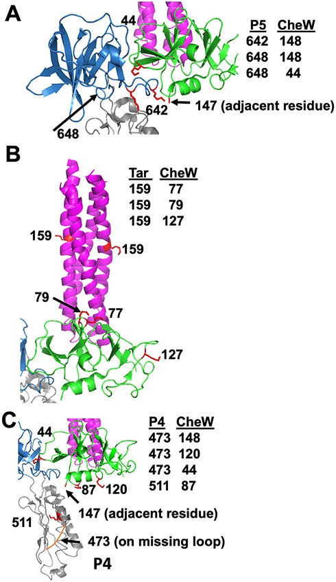 Fig. 4.