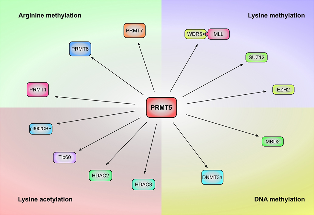 Fig. 3: