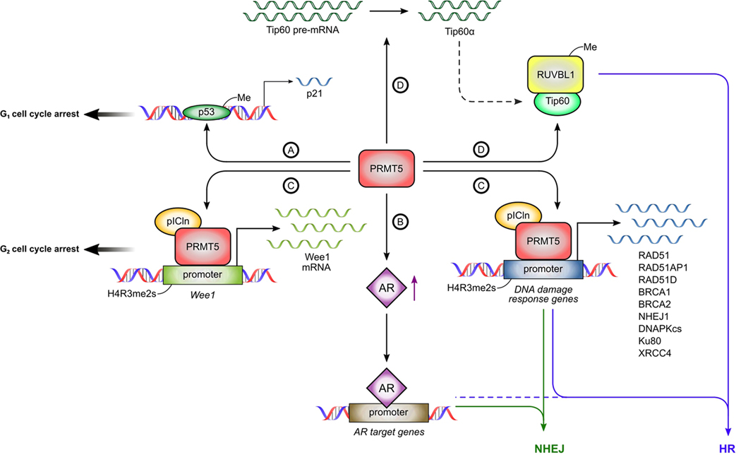 Fig. 2: