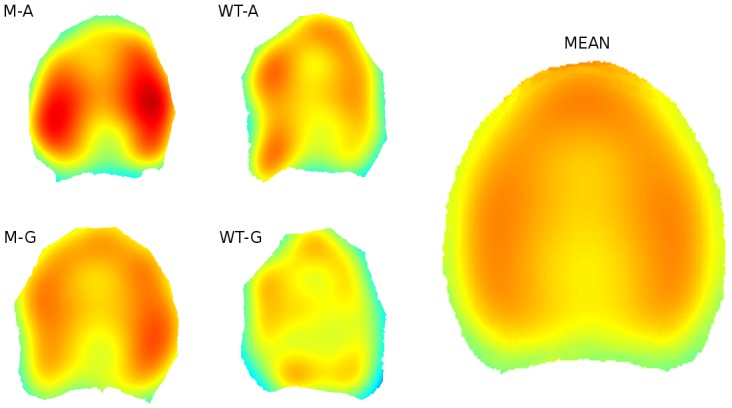 Figure 12