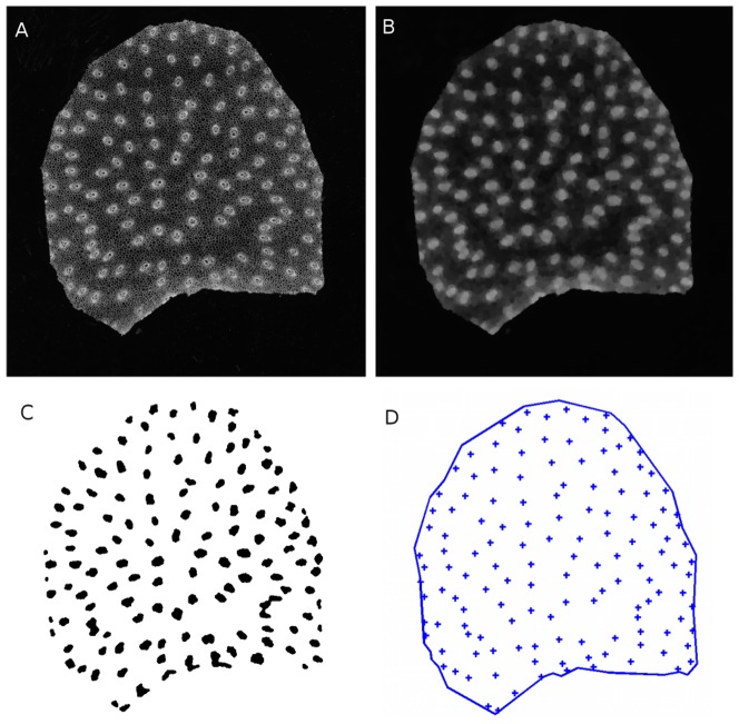 Figure 7