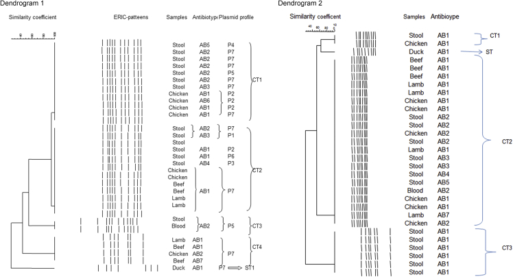 Fig. 2