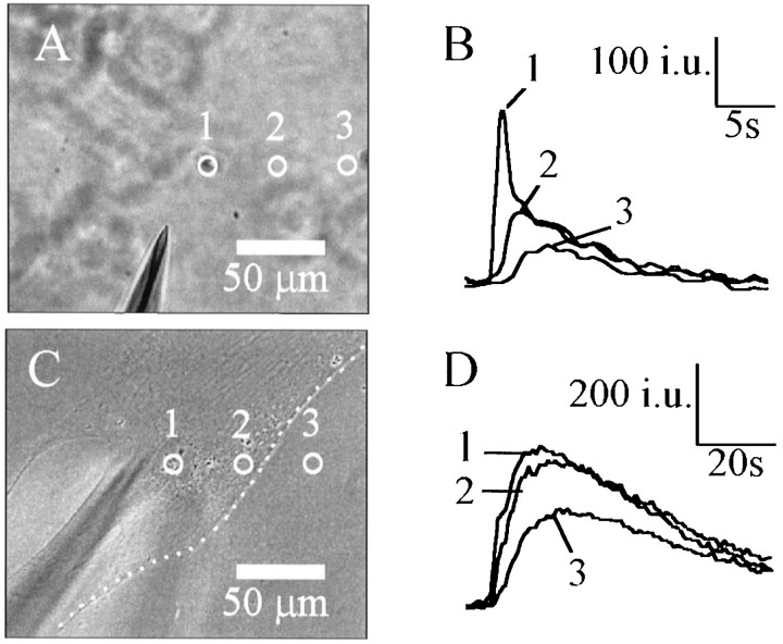 Fig. 8.