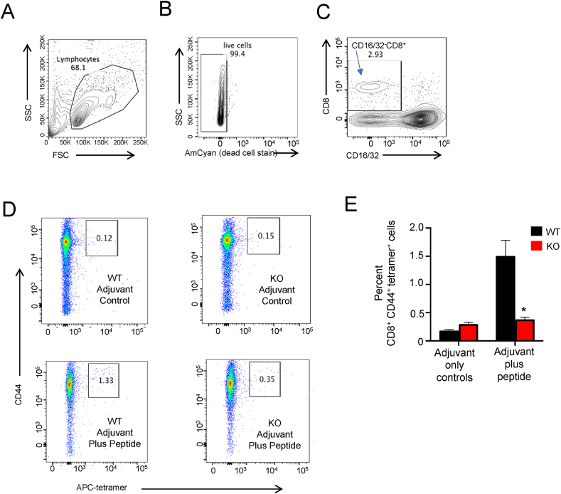 Figure 4