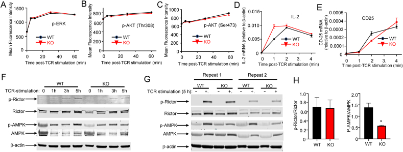 Figure 5