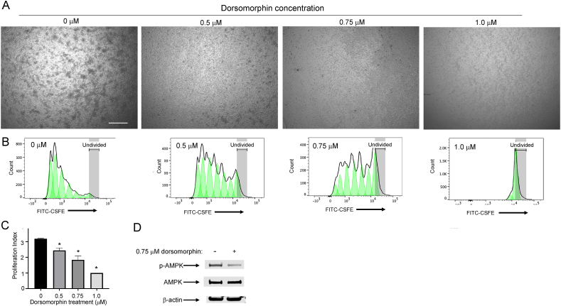 Figure 6