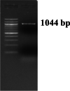 Fig. 9
