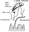 Fig. 4.