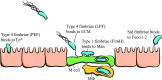 Fig. 3.