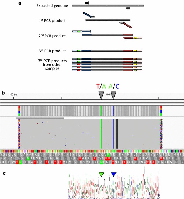 Fig. 4