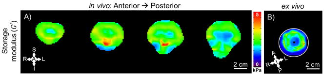 Figure 5