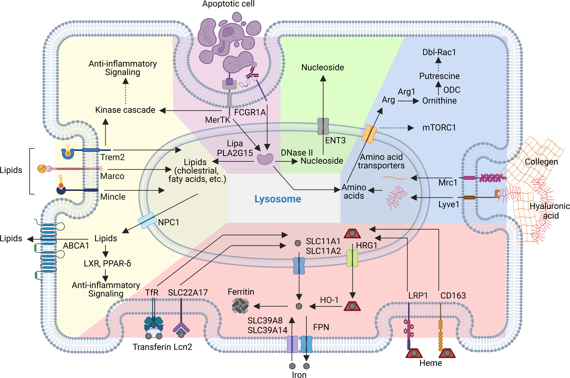 Figure 3.